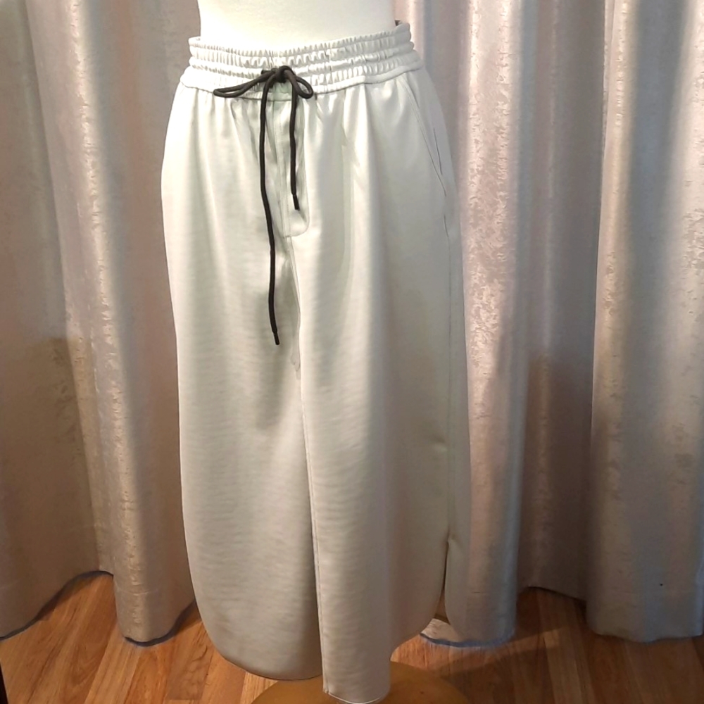 Zara maxi skirt